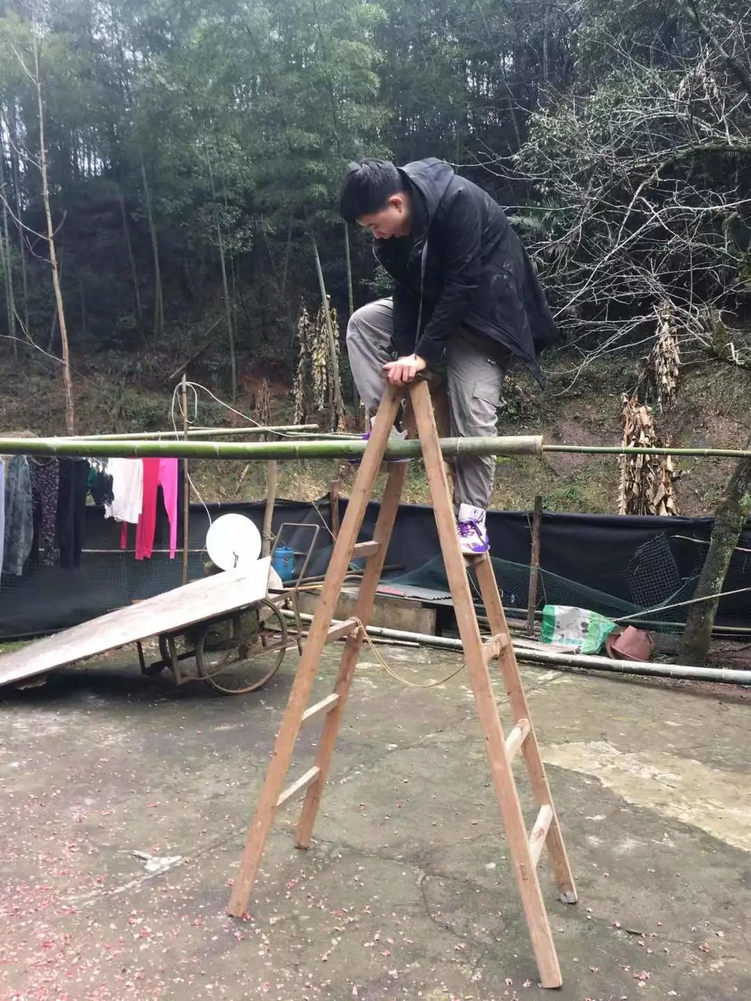 圖片
